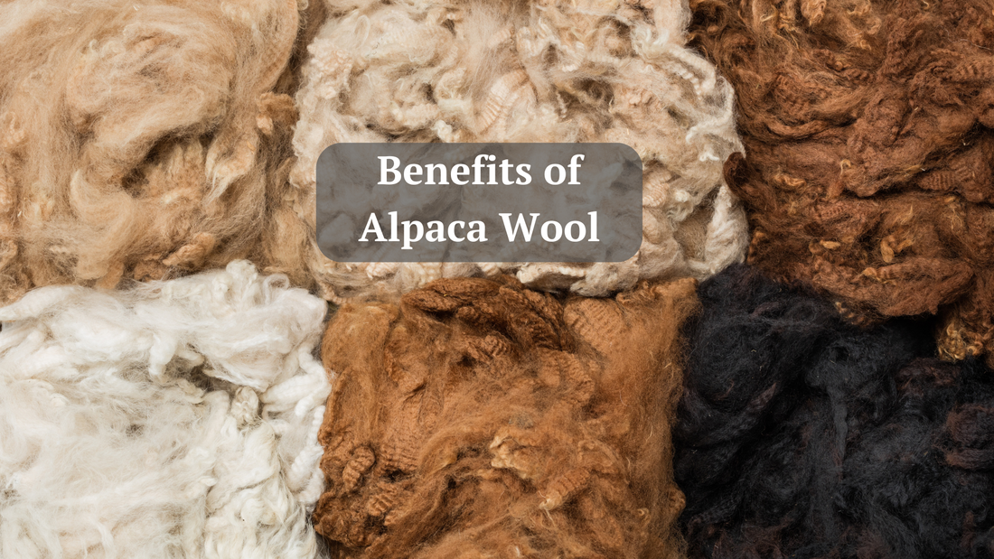 Benefits of Alpaca Wool