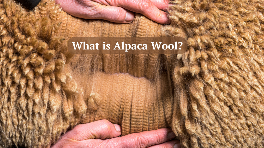 What is Alpaca Wool